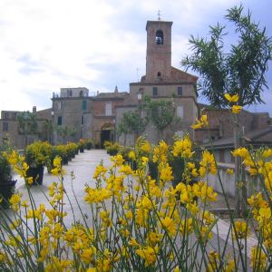 Ingresso del centro storico e festa della ginestra